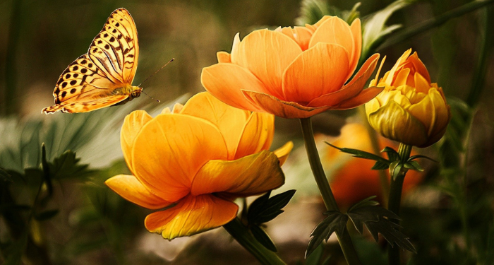 Lima Pemuda Muslim Hebat dalam Sejarah Islam