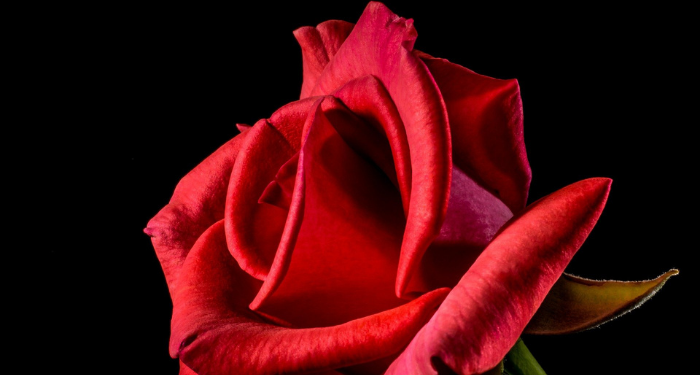 Sulaiman bin Yasar Menolak Ajakan Berzina Seorang Wanita