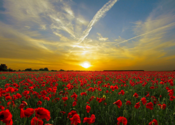 Sulaiman bin Yasar Menolak Ajakan Berzina Seorang Wanita