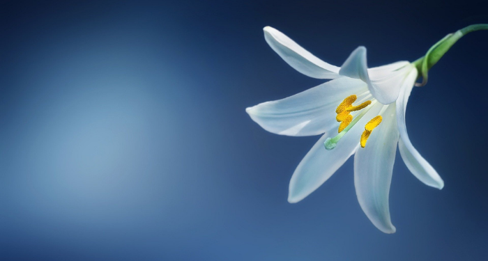 Tafsir Surat Al-Baqarah Ayat 3, Siapa yang Dimaksud Orang Bertakwa