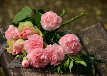 Tafsir Surat Yasin Ayat 48