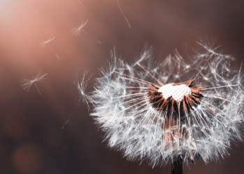 Tafsir Surat Al-Kahfi Ayat 8, Semua Perhiasan di Bumi akan Lenyap