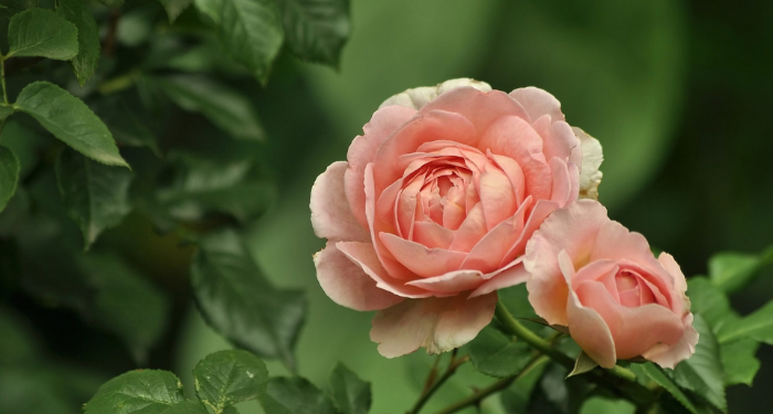 Cara-cara Allah Mengabulkan Doa Hamba-Nya