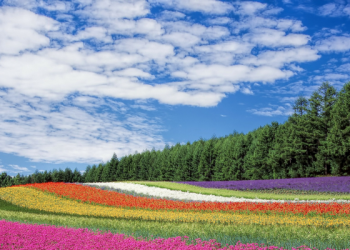 Mengenal Murid-murid Imam Syafi’i (2)