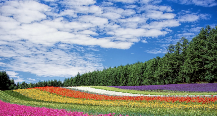 Mengenal Murid-murid Imam Syafi’i (2)