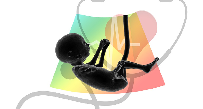 Perkembangan Janin Di Trimester ke DuaPerkembangan Janin Di Trimester ke Dua