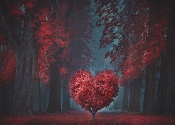 Kesalahan Yang Perlu Diperhatikan Saat Ta'aruf