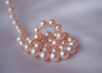 Bekal Suami Istri dalam Membangun Keluarga