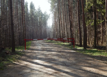 Memahami Tantangan Ketahanan Sosial Keluarga