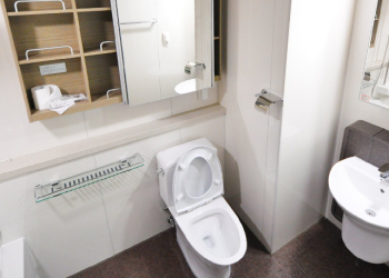 Mengatasi WC Mampet dengan Sabun Cuci Piring