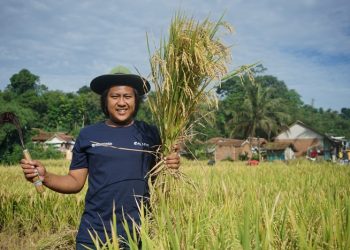 Laporan Keuangan LAZ Al Azhar Tahun 2020 Kembali Raih WTP, 13 Kali Berturut-turut