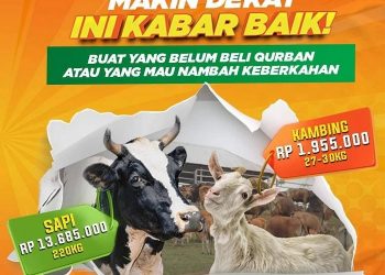 Promo Flash Sale! Kurban Di Global Qurban Semakin Terjangkau