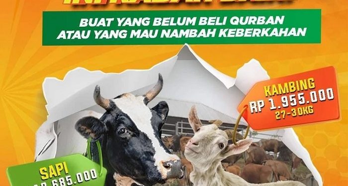 Promo Flash Sale! Kurban Di Global Qurban Semakin Terjangkau