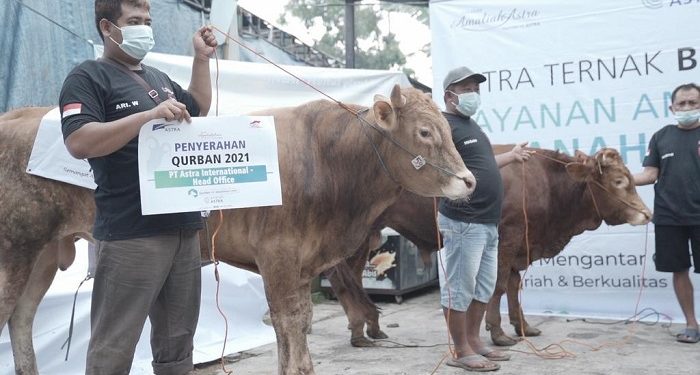 Grup Astra Serahkan 2.379 Hewan Kurban ke 34 Provinsi