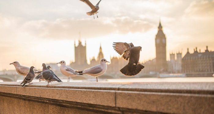 Kisah di Balik Makna Alhamdulillah 'ala kulli haal