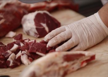 Kampanye Kurangi Makan Daging di Spanyol Tuai Kecaman