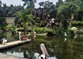 Taman Margasatwa Ragunan Adakan Wisata Virtual