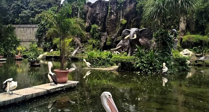 Taman Margasatwa Ragunan Adakan Wisata Virtual