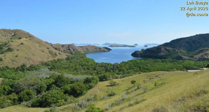 Berikut Syarat Berwisata ke Padar Selatan di TN Komodo