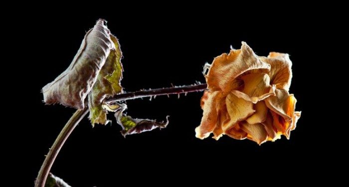 16 Manfaat Mengingat Kematian