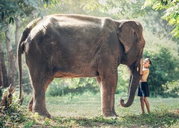 Tali Kekang Gajah dan Ketakutan Anak