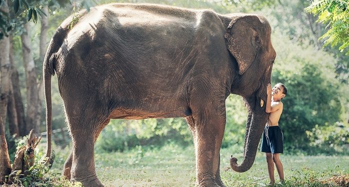 Tali Kekang Gajah dan Ketakutan Anak