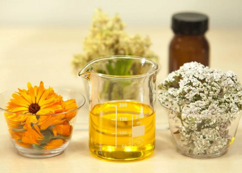 4 Manfaat Calendula untuk Kecantikan Kulit Wajah dan Tubuh