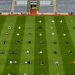 Perayaan Idul Adha Muslim Irlandia Kembali Digelar di Irish Croke Park
