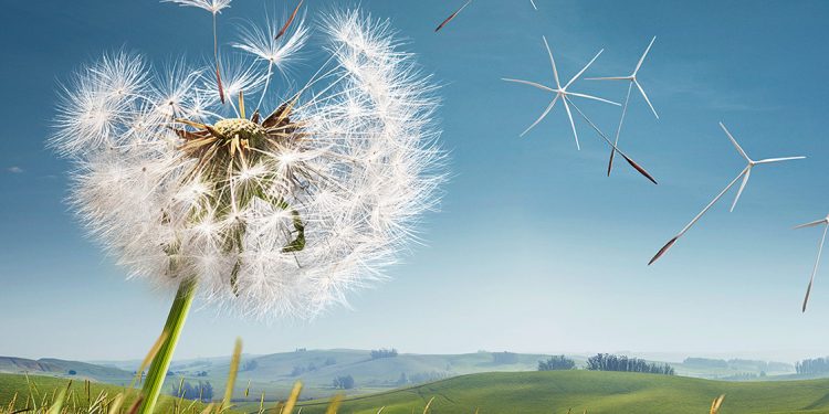 Berlaku Adillah karena Adil Lebih Dekat kepada Takwa