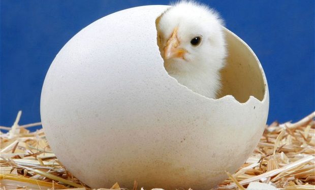 Kekuatan Perubahan Berasal dari Dalam