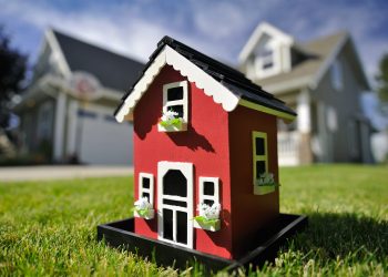 Belajar Gaul dengan Tetangga