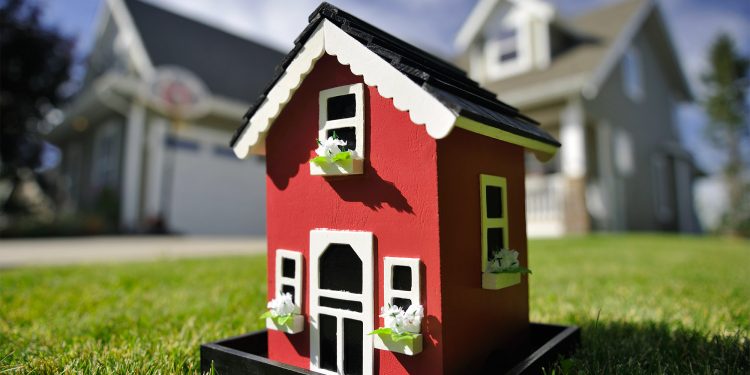 Belajar Gaul dengan Tetangga