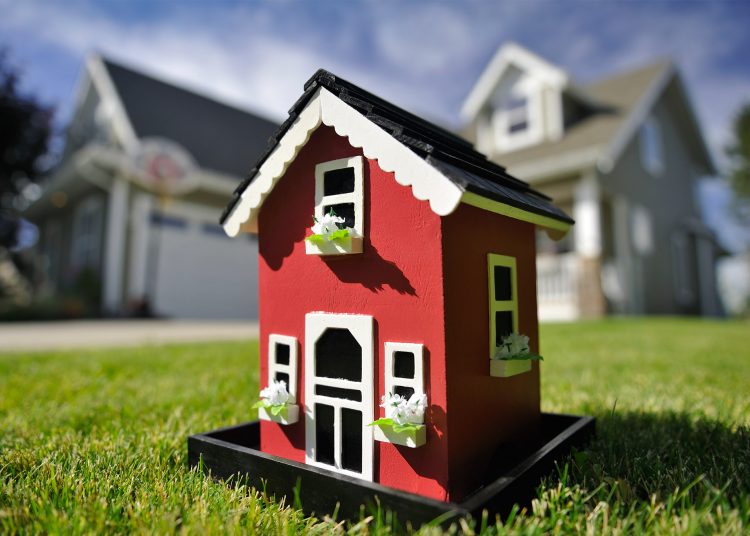 Belajar Gaul dengan Tetangga