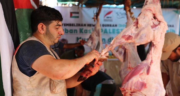 Di Tengah Pandemi, NPC dan Mitranya Distribusikan 268 Hewan Kurban untuk Warga Palestina