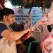 Di Tengah Pandemi, NPC dan Mitranya Distribusikan 268 Hewan Kurban untuk Warga Palestina