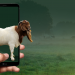 Qurban di Dubai 'Goes Virtual'