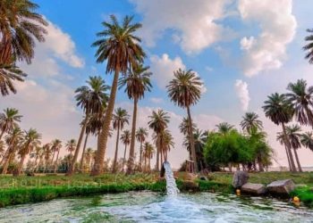 Al-Ahsa Arab Saudi Tempat Oasis Terbesar di dunia