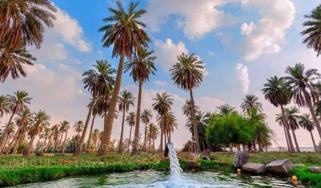 Al-Ahsa Arab Saudi Tempat Oasis Terbesar di dunia