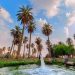 Al-Ahsa Arab Saudi Tempat Oasis Terbesar di dunia