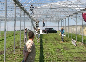 Relawan Calgary Bantu Petani Muslim yang Jadi Sasaran Vandalisme