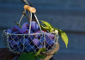 Hukum Menjenguk Nonmuslim yang Sakit