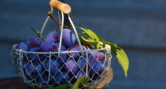 Hukum Menjenguk Nonmuslim yang Sakit