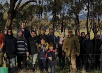 Pramuka Muslim Melbourne Tanam 1000 Pohon di Fawkner