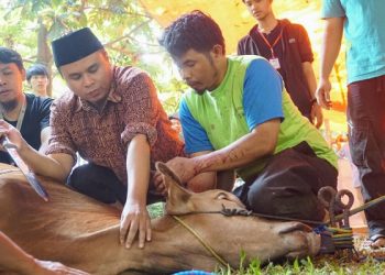 Daging Sembelihan Bisa Haram Jika Tak Penuhi Syarat Ini