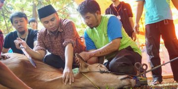Daging Sembelihan Bisa Haram Jika Tak Penuhi Syarat Ini