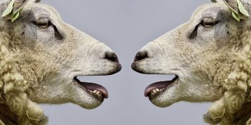 Perayaan Idul Adha di Negara-negara Muslim Dunia