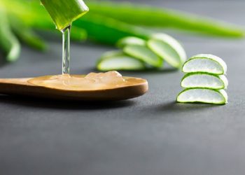 5 Manfaat Kandungan Lidah Buaya pada Produk Skincare