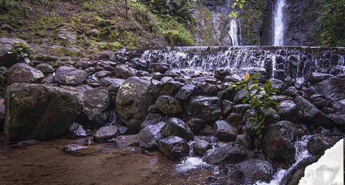 Menikmati Ragam Aktivitas di Wana Wisata Curug Cilember