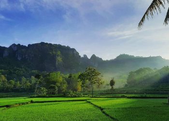 Wakili Indonesia, Nglanggeran Terpilih Ikut Ajang Desa Wisata