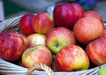 MPASI Untuk Bayi Usia 10 Bulan, Tekstur Semakin Padat dan Bervariasi